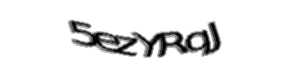 Security check image, please type the characters shown